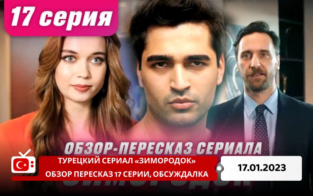 Турецкий сериал "Зимородок". Обзор пересказ 17 серии, обсуждалка