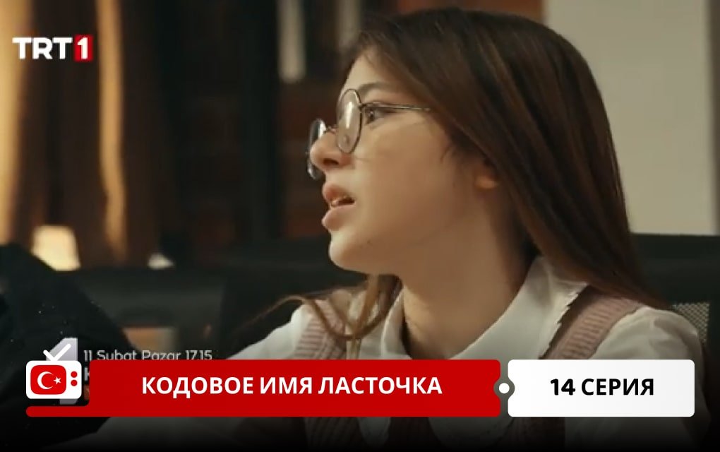 Кодовое имя Ласточка 14 серия