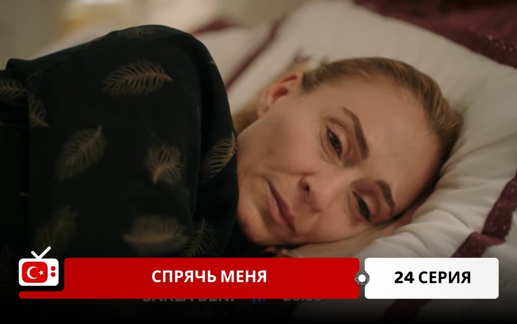 Спрячь меня 24 серия