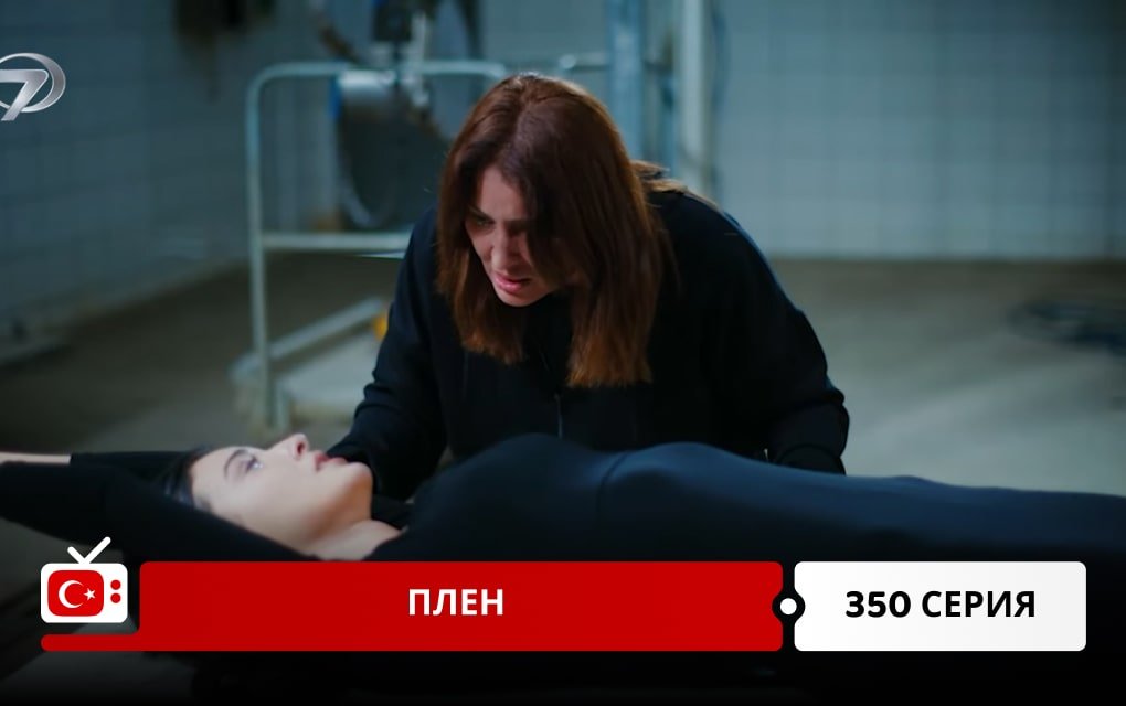 Плен 350 серия