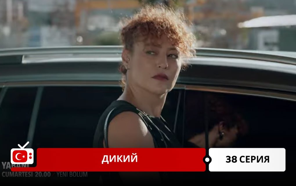 Дикий 38 серия фрагмент