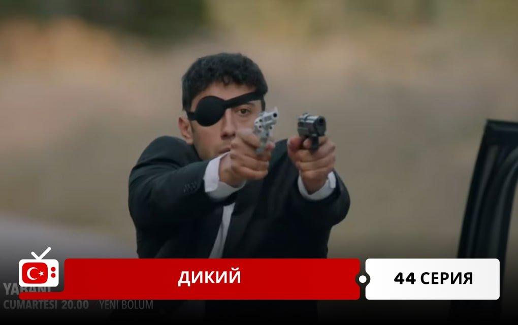 Дикий 44 серия фрагмент